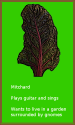 Mitchard